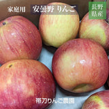 りんご 【帯刀りんご農園】 サンフジ 10kg 家庭用 訳あり B品 バラ詰め 長野県安曇野市 リンゴ 林檎 ふじ フジ サンふじ