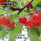 さくらんぼ 【鈴木農園】 佐藤錦 1kg L～２L 贈答 山形県東根市 《6/中旬～6/下旬の出荷》