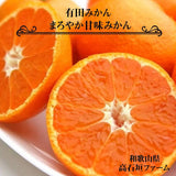 みかん 【高石垣ファーム】 有田みかん 贈答用 まろやか甘味みかん L 4.5キロ 和歌山県有田川町 《12/上旬～12/中旬より出荷開始》