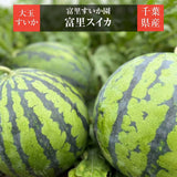 スイカ 【富里すいか園】 富里スイカ L 2個 12kg以上 千葉県富里市 すいか 《5/下旬～6/上旬より出荷》