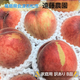桃  【遠藤農園】 もも 訳あり 家庭用 B品 3.5kg サイズ品種お任せ 福島県 会津 《7/下旬～8/上旬より出荷》