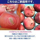 桃 【種まきうさぎ】硬い おどろき 訳あり品 家庭用 5kg 福島県 もも 《8/上～8中旬出荷 指定日不可》