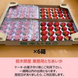 いちご 《 業務用 》 とちあいか L24個(2L20個)×4P×6箱 約8.4㎏ 栃木県産 イチゴ 国産 苺