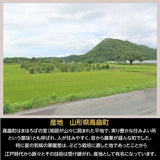 ぶどう 【土屋農園】 葡萄 詰め合わせ 3.8kg 5～7房 シャインマスカット入り 4～5種類 贈答用 山形県 高畠 《9/中旬～9/下旬より出荷》 フルーツ 果物