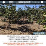 柿 甘柿 【フルーツファームいしくら】 高級 希少 太雅 たいが  広瀬の柿 化粧箱3kg ３L以上 8～9個 贈答用 プレゼント 山梨県笛吹市 種なし かき《11/中旬の出荷》