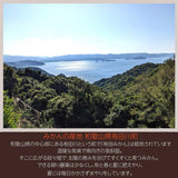 柑橘 【とまハウス】 有田地区 柑橘2種以上 家庭用 4キロ 和歌山県 《2026.2/上旬～2/中旬より出荷》