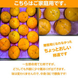 柿 【会津遠藤農園】みしらず柿 御山柿 5kg サイズお任せ 優 家庭用 福島県会津  《11/下旬～12/中旬出荷》