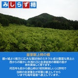 柿 【会津遠藤農園】みしらず柿 御山柿 3.5kg 3L 12個 特秀 化粧箱 贈答用 お歳暮 御歳暮 福島県会津 《11/下旬～12/中旬出荷》