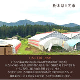 いちご 【山川いちご園】 スカイベリー 540g 12～18粒（大玉6～8粒×2パック) 栃木県 苺 イチゴ 《1/上旬より出荷》