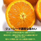 柑橘  【みかんの館】 有田 ブランド産地 田村地区産 のうろく 3㎏ 和歌山県 かんきつ みかん 《2/中旬～2/下旬より出荷》