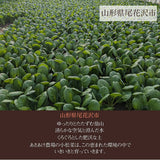 紫 小松菜 【あさあけ農場】 150g×30袋 4.5kg 当日収穫 山形県尾花沢市 紫小松菜 業務用