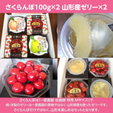 さくらんぼ 【一愛農園】 佐藤錦 M 特秀 100g×2 & 山形産フルーツゼリー 贈答用 母の日 父の日 山形県東根市 《4/下旬～5/上旬より出荷》