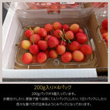 さくらんぼ 【四喜彩】 佐藤錦 紅秀峰 紅てまり その他 2種類以上 800g（200g×4） 家庭用 M/L 山形県 東根市