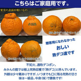 しらぬい 【みかんの館】 有田 ブランド産地 田村地区産 熟デコ 不知火 3㎏ 訳あり 家庭用 和歌山県 デコポン と同品種 みかん 柑橘 《2/下旬～3/上旬より出荷》