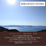 みかん 【みかんの館】 有田みかん ブランド産地 田村地区産 ちびみかん ミニミニ ぷちすぃーと 7㎏ S以下 和歌山県 蜜柑 ミカン 柑橘 《12/中旬～12/下旬より出荷》