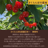さくらんぼ 【桜桃慕庵】 佐藤錦 1kg M以上 山形県 東根市  《6/中旬～6/下旬の出荷》
