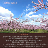 桃 【芦澤農園】 もも 高級 春日居の桃 2kg 中玉 6~7個 お中元 御中元 山梨県笛吹市 《6/下旬～7/上旬より出荷》
