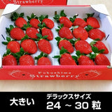 いちご 【アグリハウス秋山】 とちおとめ 3L~4L 大玉 12～15個×2P 750g 翌日配達の地域(東北～近畿）限定 贈答用 福島県 須賀川 苺 《1/上旬～1/中旬より出荷》