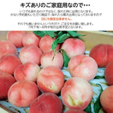 桃 【種まきうさぎ】硬い おどろき 訳あり品 家庭用 2.5kg 福島県 もも 《8/1～8/20の出荷 指定日不可》
