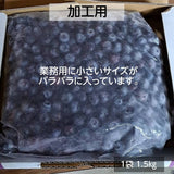 冷凍ブルーベリー 加工用 業務用 10.5kg (1.5kg×7袋)国産 福島県 冷凍 フルーツ 果物《7/中旬より出荷》