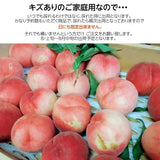 桃 【種まきうさぎ】硬い おどろき 訳あり品 家庭用 5kg 福島県 もも 《8/上～8中旬出荷 指定日不可》