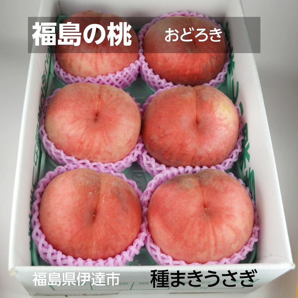 桃 【種まきうさぎ】硬い おどろき 2kg（5～7個） 福島県伊達市 《8/10～8/20の出荷》