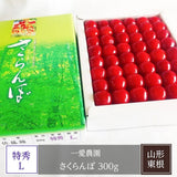 さくらんぼ 【一愛農園】 佐藤錦 300g  48〜54粒 特秀 L以上 贈答 誕生日 母の日 山形県 東根市 《4/下旬～5/上旬より出荷》