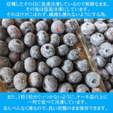 ブルーベリー 【三春インターブルーベリー園】 冷凍ブルーベリー 中粒以上 1kg 国産 福島県 三春町 冷凍 フルーツ 果物《7/中旬より出荷》