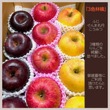 りんご 【佐藤果樹園】 御歳暮 3種の林檎セット ふじ ぐんま名月 こうみつ 4㎏ 10～12個 福島県 須賀川市 《11/下旬～12/上旬出荷》 お歳暮