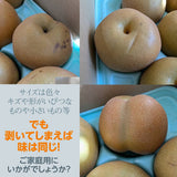 梨 【羽田梨園】 萱場の梨 5kg 訳あり 家庭用 福島県 福島市《9/上旬〜9/中旬より出荷》
