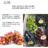 ぶどう 【土屋農園】 葡萄 詰め合わせ 約2kg 3～4房 シャインマスカット入り 3種類 贈答用 山形県 高畠 《9/中旬～9/下旬より出荷》 フルーツ 果物