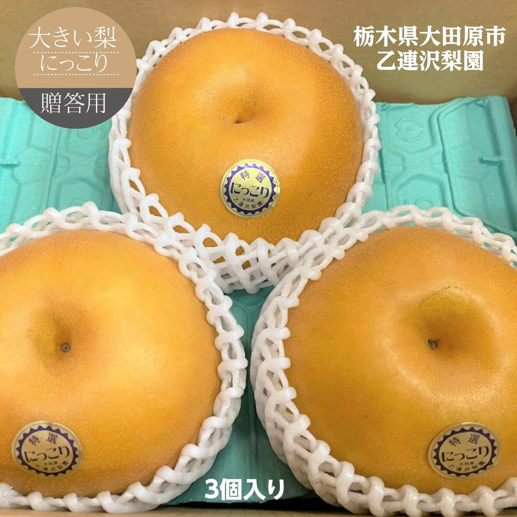 梨 【乙連沢梨園】大きい にっこり 中サイズ 2.4kg (800g×3個) 贈答用 栃木県 《10/中旬～10/下旬より出荷》