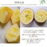 りんご 【佐藤果樹園】 御歳暮 3種の林檎セット ふじ ぐんま名月 こうみつ 4㎏ 10～12個 福島県 須賀川市 《11/下旬～12/上旬出荷》 お歳暮