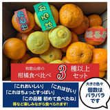 柑橘 【高石垣ファーム】 有田地区 柑橘食べ比べ 3種類以上 家庭用 4kg 訳あり みかん 和歌山県 《3/上旬～3/中旬より出荷》
