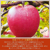 りんご 【帯刀りんご農園】 サンフジ 10kg 32～40個 ちょっぴり良い家庭用 個包装 長野県安曇野市 リンゴ 林檎 ふじ フジ サンふじ