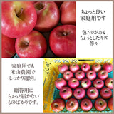 りんご 【信州安曇野 米山農園】 小玉りんご ピンクレディ ちょっと良い家庭用 9.5kg 40～56個 長野県安曇野 林檎 《1/中旬～1/下旬より出荷》