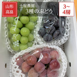 ぶどう 【土屋農園】 葡萄 詰め合わせ 約2kg 3～4房 シャインマスカット入り 3種類 贈答用 山形県 高畠 《9/中旬～9/下旬より出荷》 フルーツ 果物