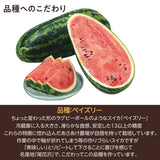 スイカ 【あさあけ農場】ペイズリースイカ 1玉 5〜6kg 山形県 尾花沢《7/下旬〜8/上旬より出荷》