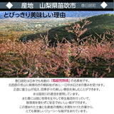 桃 【芦澤農園】 もも 高級 春日居の桃 2kg 中玉 6~7個 お中元 御中元 山梨県笛吹市 《6/下旬～7/上旬より出荷》