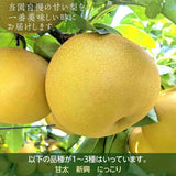 梨 【箭内厳雄果樹園】 甘太 新興 にっこり 1～3種入り 4kg 6～8個 福島県須賀川市《10/下旬～11/上旬より出荷》