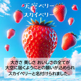 いちご 【山川いちご園】 スカイベリー 540g 12～18粒（大玉6～8粒×2パック) 栃木県 苺 イチゴ 《1/上旬より出荷》