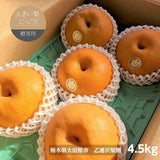 梨 【 乙連沢梨園 】大きい にっこり  4.5kg (900g×5個) 贈答用 プレゼント 栃木県 《10/中旬～10/下旬より出荷》