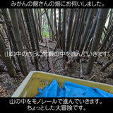 みかん 【みかんの館】 有田みかん 田村地区産 訳あり ご家庭用 ど根性くん 3kg サイズ不揃い 和歌山県 蜜柑 ミカン 柑橘 《11/上旬～11/中旬より出荷》