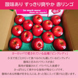りんご 【信州安曇野 米山農園】 小玉りんご ピンクレディ ちょっと良い家庭用 2.5kg 10～15個 長野県安曇野 林檎 《1/中旬～1/下旬より出荷》