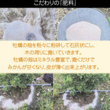 柑橘 【とまハウス】 有田地区 柑橘2種以上 家庭用 4キロ 和歌山県 《2026.2/上旬～2/中旬より出荷》