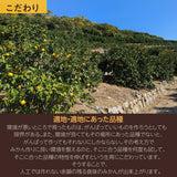 みかん 【高石垣ファーム】 有田みかん 贈答用 まろやか甘味みかん L 4.5キロ 和歌山県有田川町 《12/上旬～12/中旬より出荷開始》