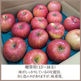 りんご 【帯刀りんご農園】 サンフジ 5kg 贈答用 13～18玉 長野県安曇野市 リンゴ 林檎 ふじ フジ サンふじ