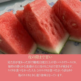スイカ 【あさあけ農場】ペイズリースイカ 1玉 5〜6kg 山形県 尾花沢《7/下旬〜8/上旬より出荷》