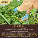 スイカ 【富里すいか園】 特大 富里スイカ 4L 1個 9kg以上 千葉県富里市 すいか 父の日 《5/下旬～6/上旬より出荷》