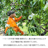 桃 【芦澤農園】 もも 高級 春日居の桃 2kg 中玉 6~7個 お中元 御中元 山梨県笛吹市 《6/下旬～7/上旬より出荷》